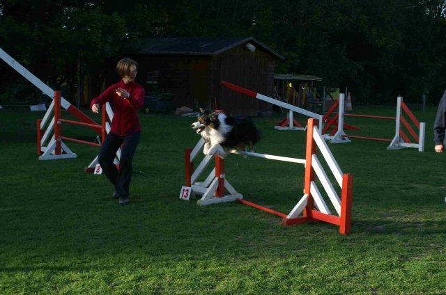 agility 2011-04